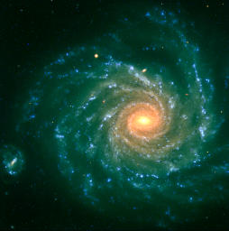 [NGC 1232]