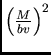 $\left(\frac{M}{bv}\right)^2$