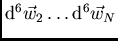 ${\rm d}^6\vec{w}_2\ldots {\rm d}^6 \vec{w}_N $
